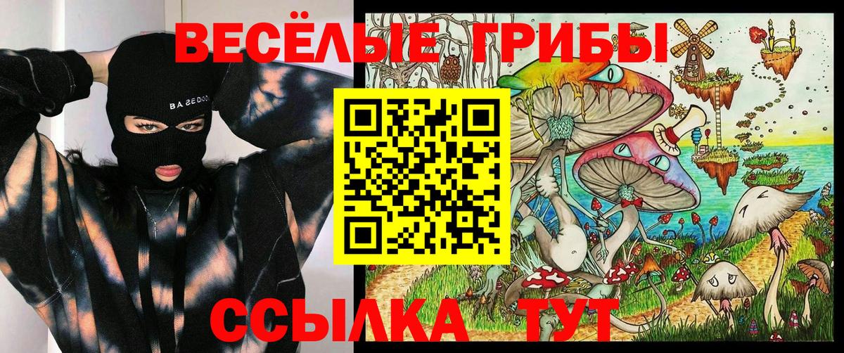 Псилоцибиновые грибы Psilocybine cubensis  Псилоцибиновые грибы ЛСД  Вход с VPN  Дмитров 